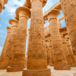 Gallery Thumbnail 5