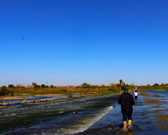 Day Tour to Watch the migratory birds across the Nile River