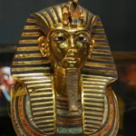 Gallery Thumbnail 1
