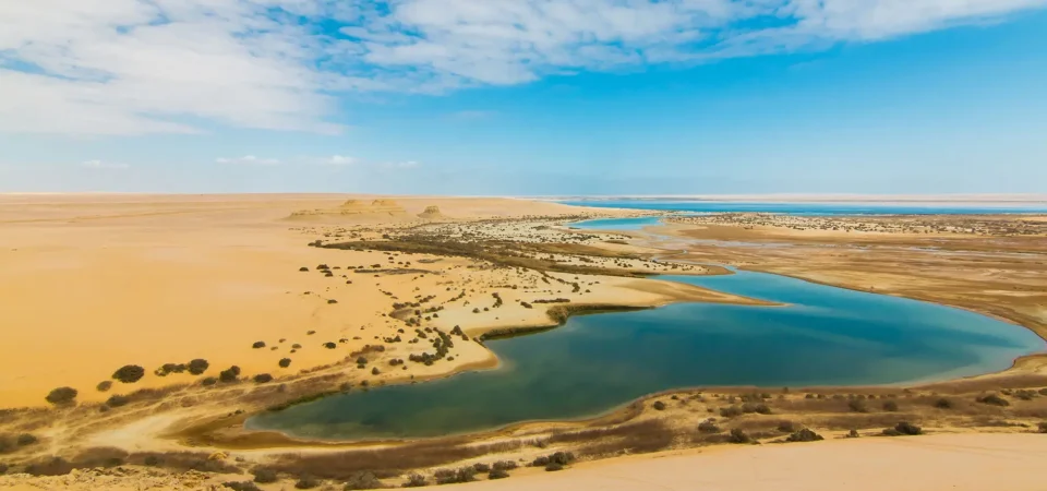 tour to Fayoum Oasis