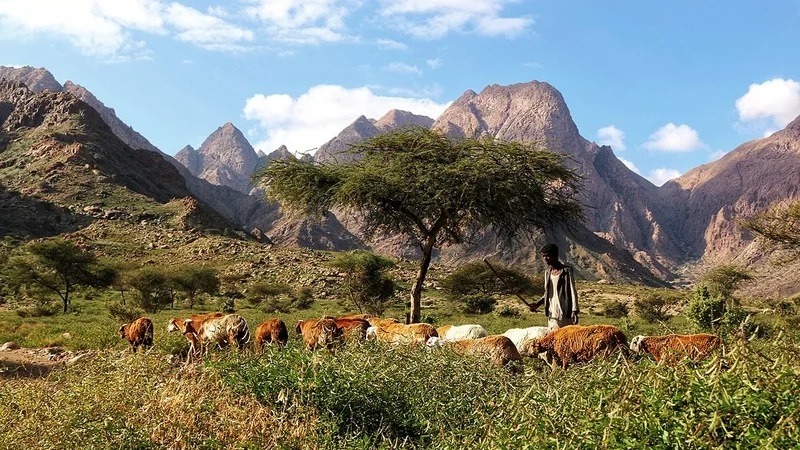 Jebel Elba Reserve