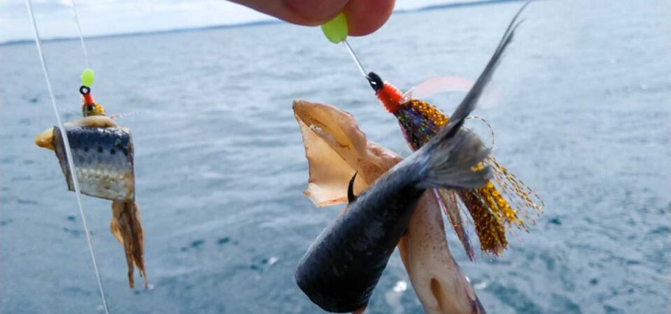 Fishing boat tour