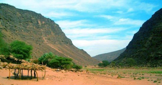 Jebel Elba Reserve