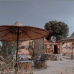 Gallery Thumbnail 16