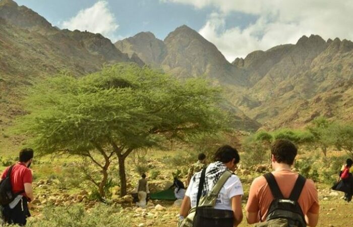 Jebel Elba Reserve