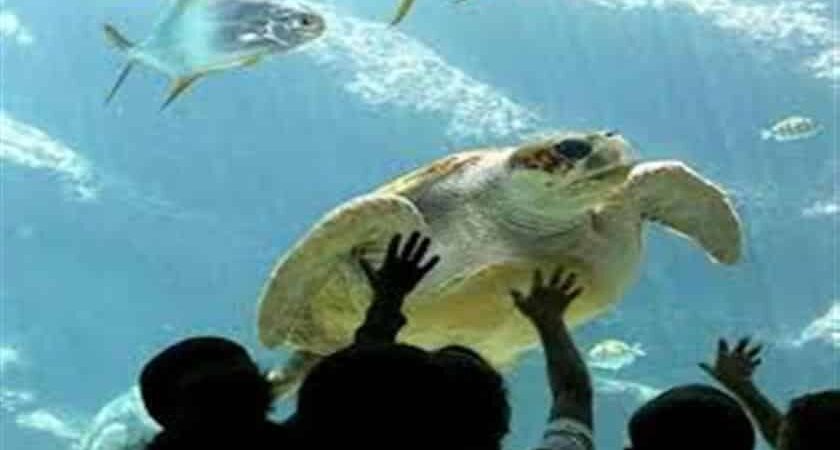 Hurghada Grand Aquarium