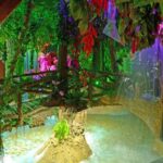 Gallery Thumbnail 5