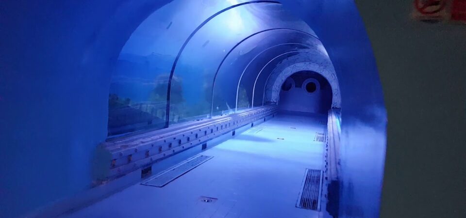 Hurghada Grand Aquarium