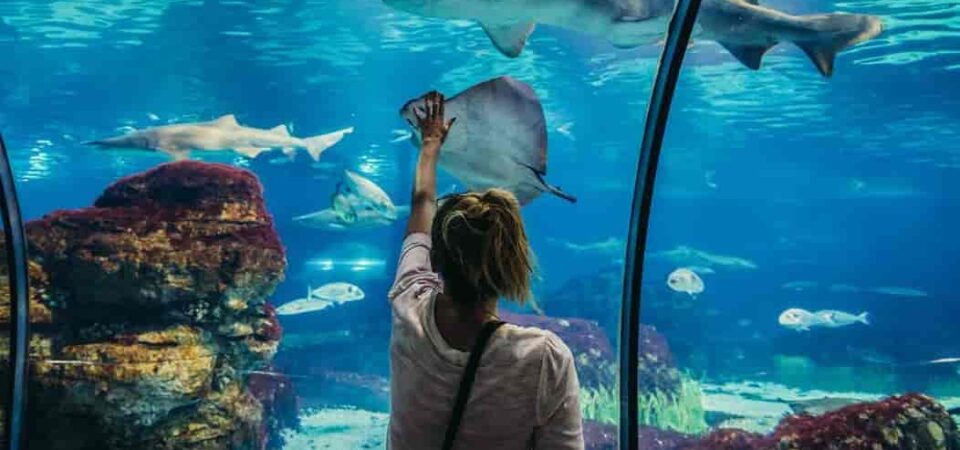 Hurghada Grand Aquarium