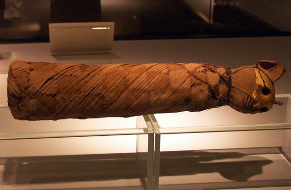 Luxor Mummification Museum