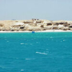Gallery Thumbnail 6