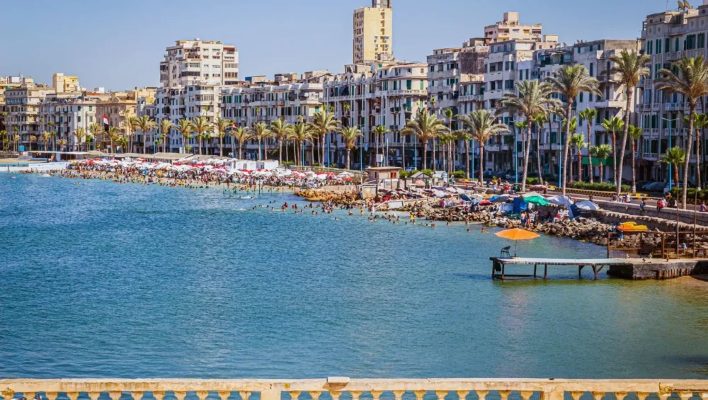 Alexandria Day Tour