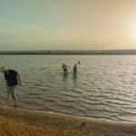 Gallery Thumbnail 14