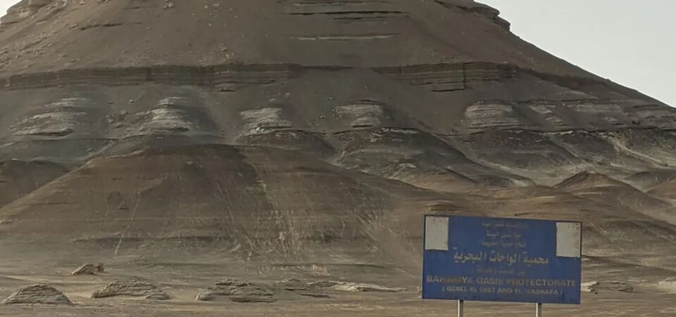 Bahariya oasis