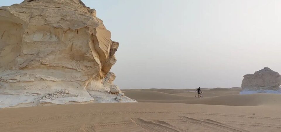 White Desert and Bahariya Oasis Safari