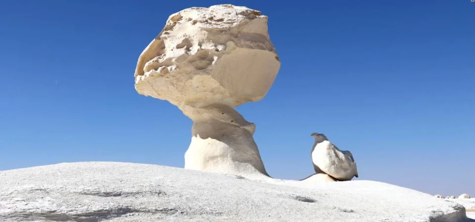 Tour de Safari en el Desierto Blanco y Oasis de Bahariya - 2 Días