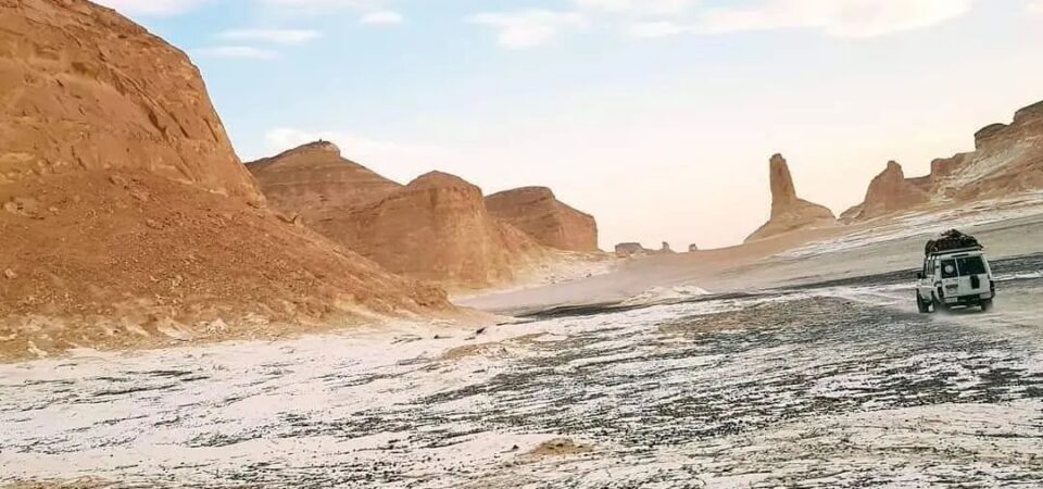 White Desert and Bahariya Oasis Safari