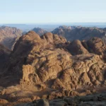 Gallery Thumbnail 2