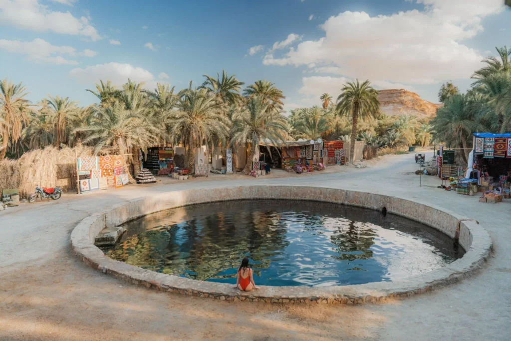 Tour Safari di 3 giorni all'Oasi di Siwa da Il Cairo