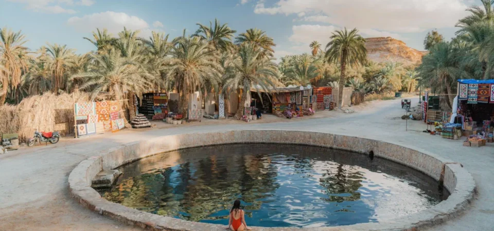 Tour du Safari de 3 jours à l'oasis de Siwa au départ du Caire