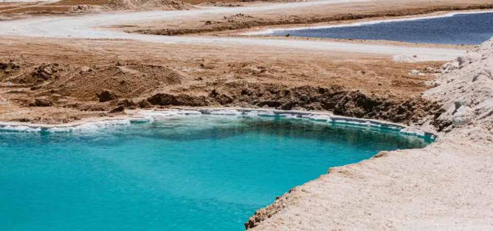 Oasis de Siwa