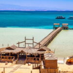 Gallery Thumbnail 1