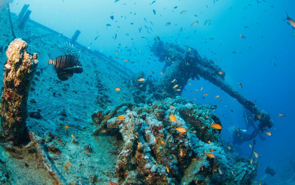 Snorkeling in Egypt